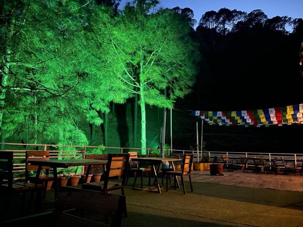 Hillcrest Heights Bed and Breakfast Kasauli Esterno foto