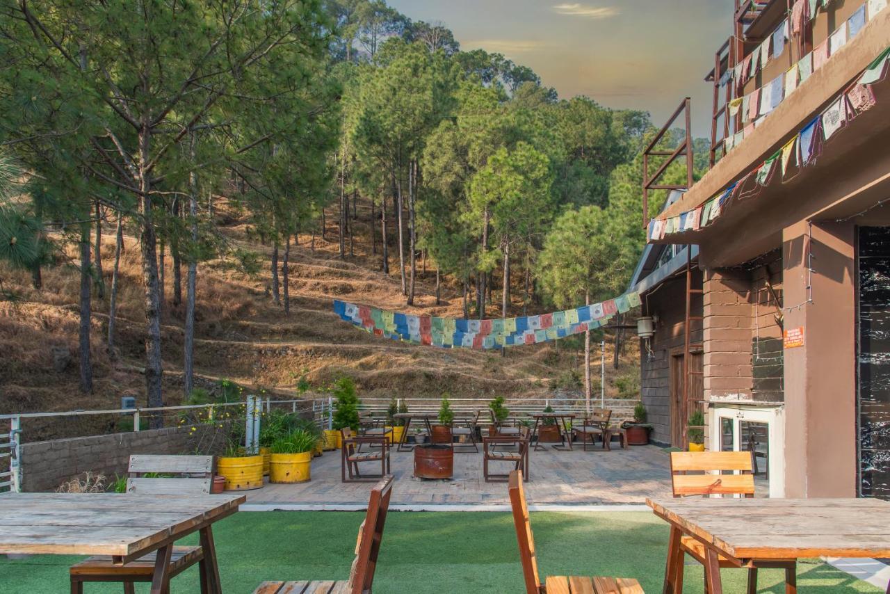 Hillcrest Heights Bed and Breakfast Kasauli Esterno foto