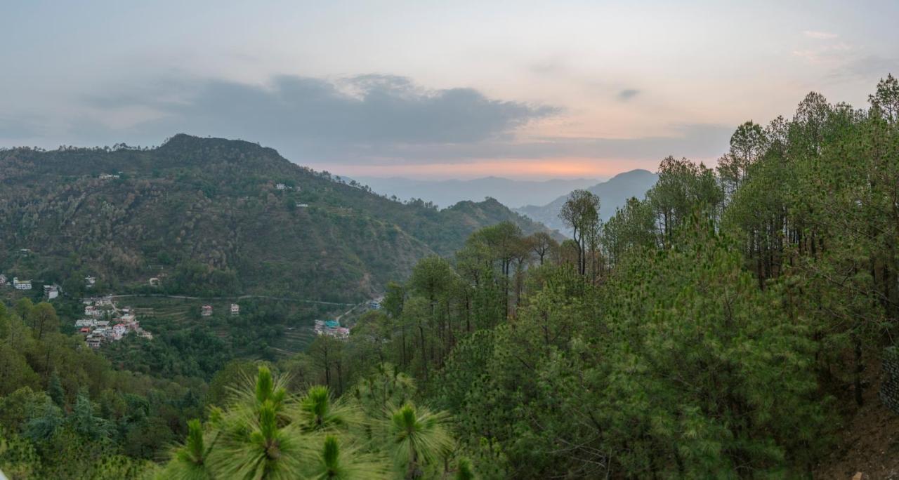 Hillcrest Heights Bed and Breakfast Kasauli Esterno foto